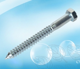 Hex lag screw