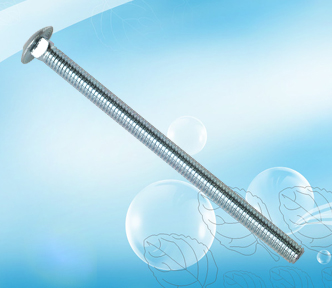 Carriage bolt