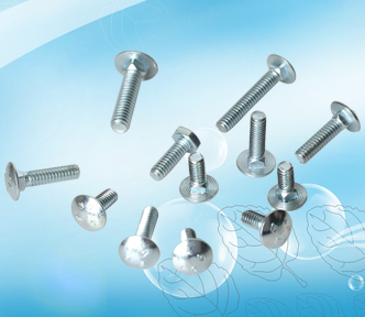 Carriage bolt